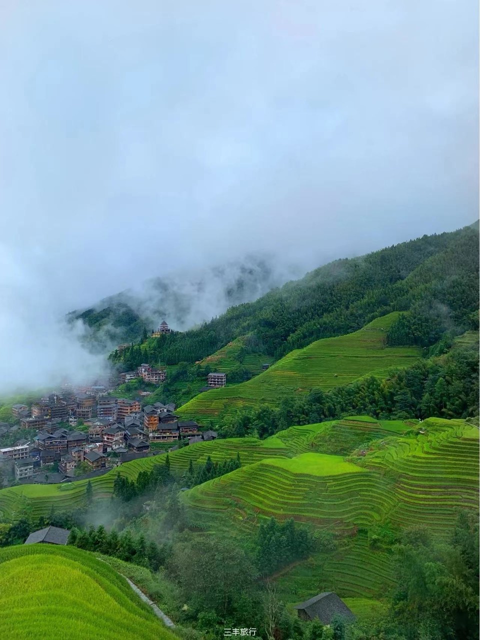 微信图片_202208070028221167176597836223