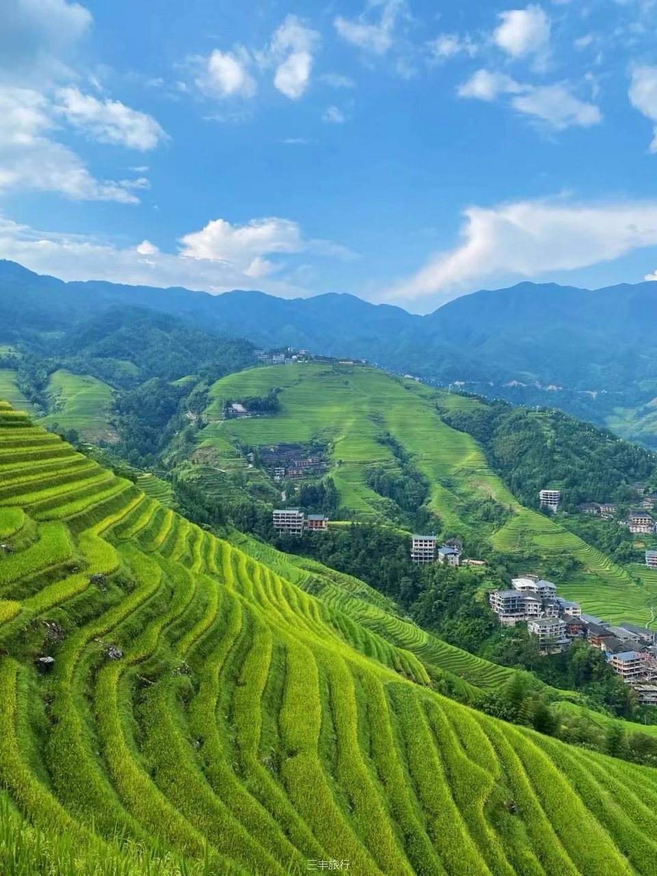 微信图片_202208070028222167176597826722