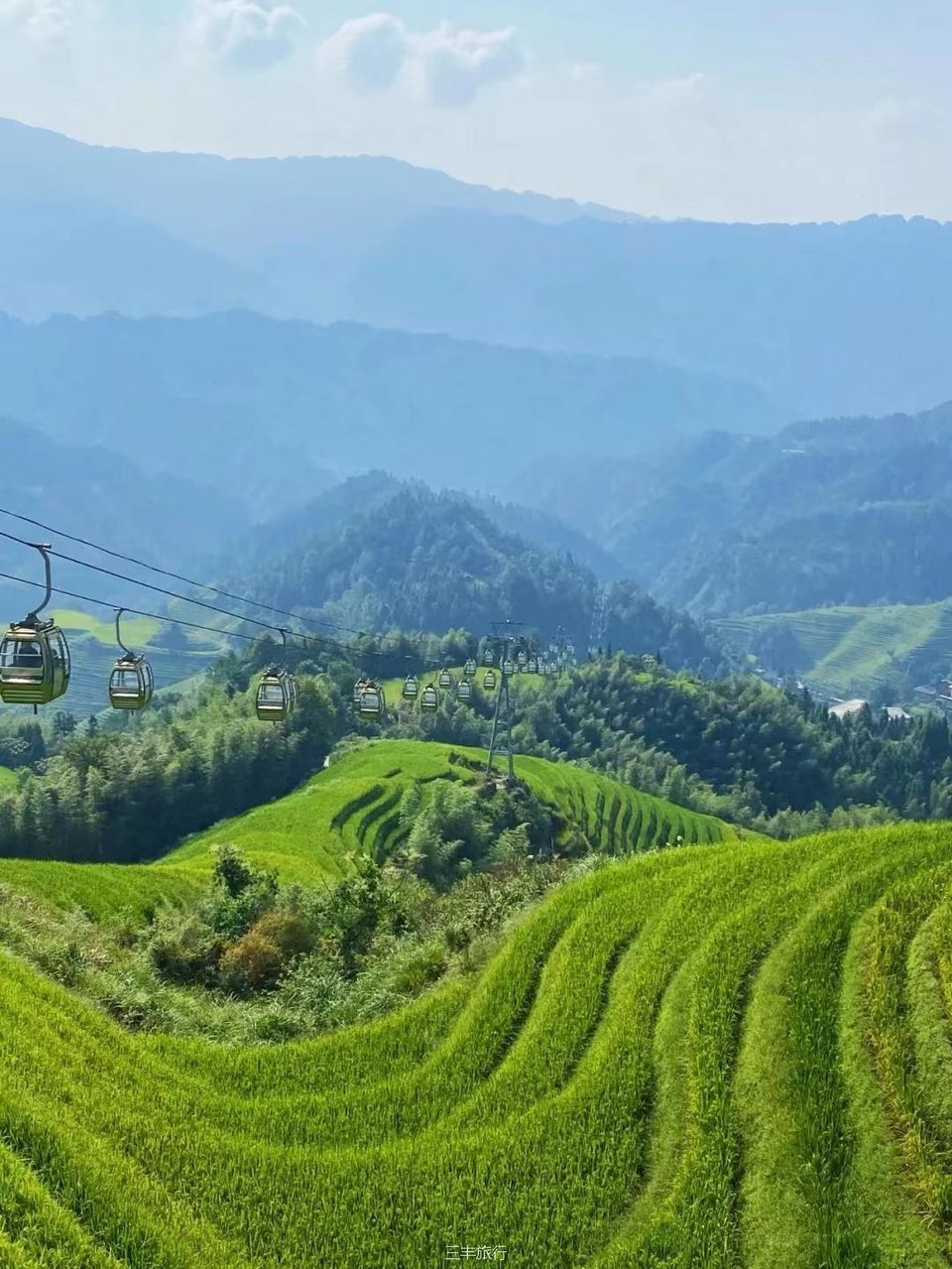 微信图片_202208070028224167176597794220