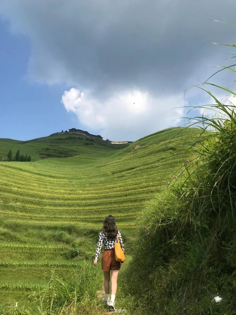 微信图片_202208070028226167176597765718