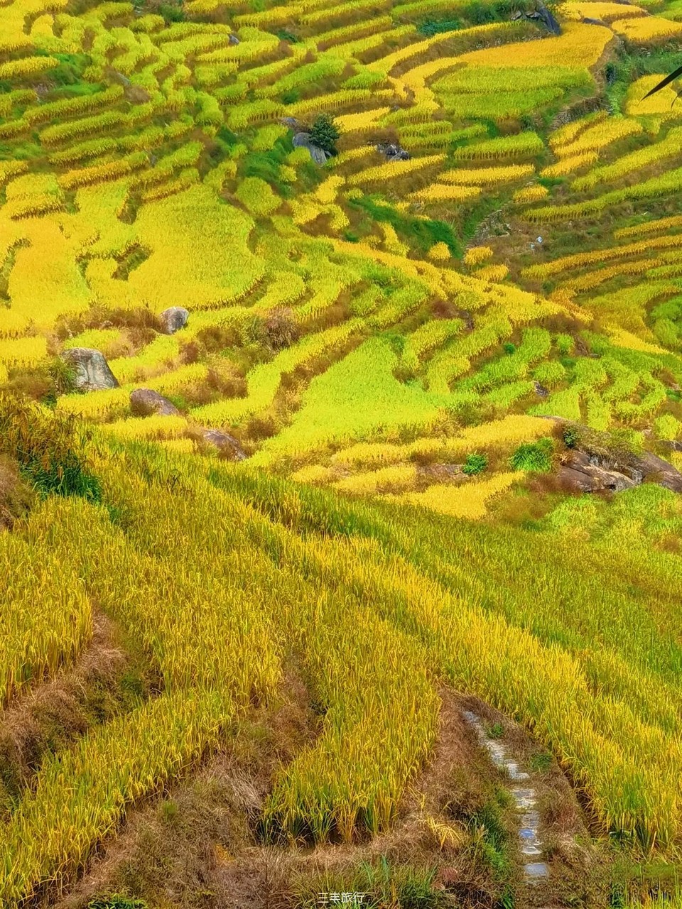 微信图片_202208070028227167176597746917