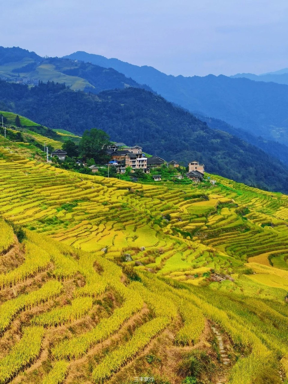 微信图片_202208070028229167176597724615