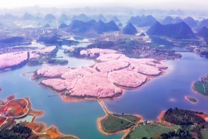 盛花期仅一周3.21/3.28【小众贵州0门票】世界最大樱花海、贵州仙本那，地球心脏，大圣之眼、恶魔之舌、水族天书