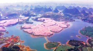 盛花期仅一周3.22/3.29【小众贵州0门票】世界最大樱花海、贵州仙本那，地球心脏，大圣之眼、恶魔之舌、水族天书
