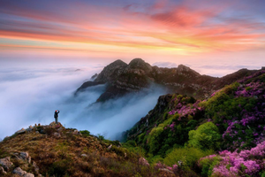 4.18-24【寻春大别山7日】鄂豫皖环线·麻城杜鹃花开|探秘大别山核心区，轻徒7日