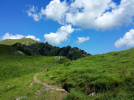 【6.27周六】黄花梁 | 高山草甸