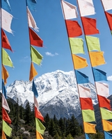 5.16-24【越野车1+3·穿越墨脱+四大小众秘境徒步杜鹃花季】世界最高瀑布：熊湖瀑布+白普龙沟+岗云杉林+卓龙沟 