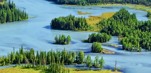 5.26【越野车1+3穿越罗布泊+阿禾公路+S21沙漠公路】大海道无人区、喀纳斯、江布拉克、巴里坤、阿勒泰、禾木