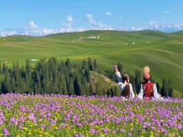 5.24-31天山之约，伊犁深度自驾，看尽雪山、草原、花海、森林、蓝湖！