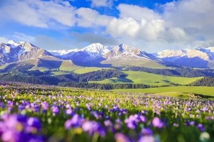 6.6-14/6.15-23天山环线【独库公路+伊昭公路】喀拉峻+夏特古道轻徒步!