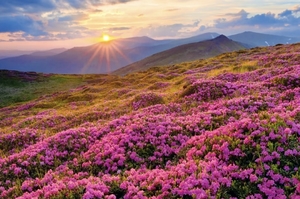 4.24-30/五一【自驾·鄂西秘境】神农架杜鹃-大九湖-天生桥-古昭公路-屏山峡谷-巫山神女峰-香溪源-索布垭石林