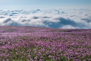 8.22-28【自驾·小众贵州】阿西里西-油杉河-大圣之眼-万峰顶-龙脊天路-老王山-夜郎遗址-挂壁公路-乌江百里画廊