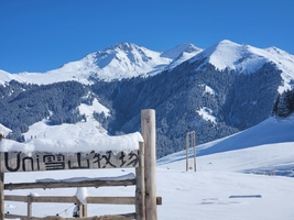1.18-25【诗画伊犁越野探路团】踏雪寻踪，步入天山脚下的冬日梦境