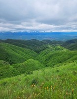 【6.27周六】刁蝉顶—羊道山 | 高山草甸，繁花似锦