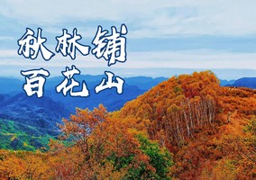 【10.17/10.25两期 周六】 超美秋林铺秘境穿越 金黄树叶 广阔草坪（12km 爬升 850m）