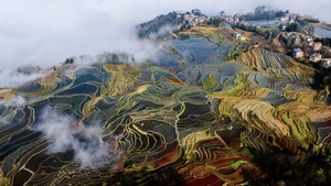 春节3期【滇黔精华9日】世外桃源:坝美、普者黑、抚仙湖、​元阳梯田、罗平花海、九龙瀑布、万峰林、马岭河