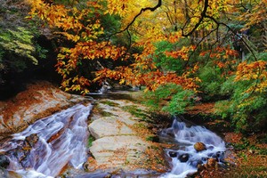 【10.25/11.1】穿越秦岭太白山-太洋公路-黄柏塬-光雾山-米仓山-十八月潭-黎坪