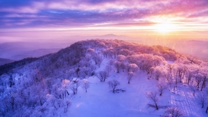 【林海雪原8日探路团】雾凇顶流四方顶、水墨松岭雪村、老里克湖徒步、魔界日出、查干湖冬捕