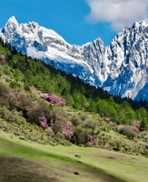 五一【探秘三江并流】孔雀山+高黎贡山+老药山轻徒步、人神共居丙中洛、独龙江秘境寻纹面女、唯一能拍到梅里十三峰倒影之地 