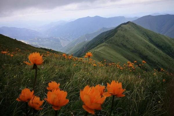 【7.22-23 毅行】那拉提？香格里拉？ 金莲花盛开 仲夏夜之梦 茶山-麻田岭徒步露营（可住宿）