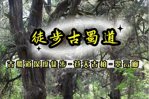 清明3天【徒步金牛古道】中国版朝圣之路；徒步金牛古道+穿越翠云廊-昭化古城