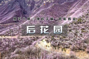 4.4/4.5/4.6（清明）【徒步后花园】9公里徒步赏山花