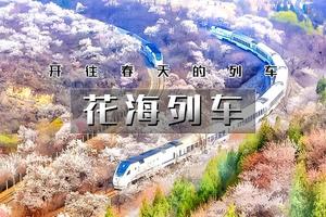 4.4/4.5/4.6（清明）【花海列车赏花之旅】-花海列车栈道+居庸关长城