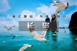 清明3天【山东长岛】蓬莱-长岛-庙岛-万鸟岛-月亮湾｜享最美海岛浪漫假期