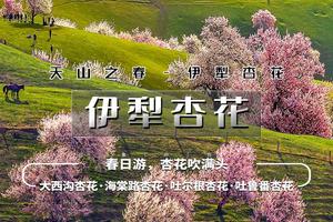 【徒步户外】清明假期【伊犁杏花6日】2-8人 吐尔根 那拉提冰百合 大西沟杏花 独山子大峡谷 赛里木湖
