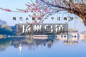 清明3日【江南•扬州乌镇】烟花三月下扬州，邂逅千垛花田的浪漫-扬州-瘦西湖-何园-乌镇