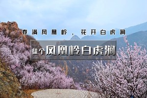 4.4/4.5/4.6（清明）【徒步凤凰岭-白虎涧】10公里穿越<初级>