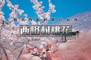 4.4/4.5/4.6（清明）【徒步•西峪桃花村】<初级强度>