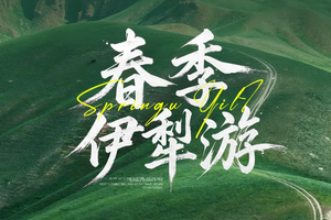 4-5月每周六发团【春季伊犁全景游】那拉提草原 S101国防公里 赛里木湖 恰西 琼库什台 全景精品小团