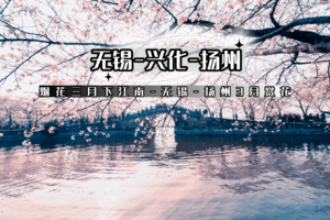 清明3日【无锡-扬州赏花之旅】兴化油菜花海--鼋头渚樱花-李中水上森林-瘦西湖-何园