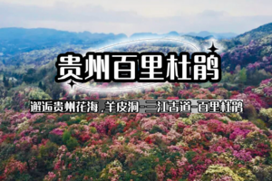 清明4天【2026贵州花季小众秘境4天3晚轻徒旅行】邂逅贵州花海，羊皮洞-三江古道-百里杜鹃