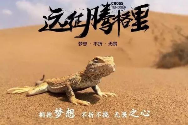 暑假活动7.3-7腾格里沙漠