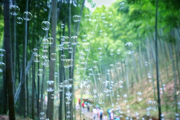 【5.18惠南新场航头周浦】徒步宜兴大竹海，登顶苏南第一高峰