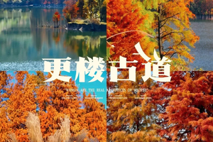 已成团【两人同行138】12.20更楼古道红枫&南山湖红杉林