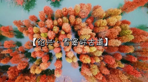 【两人同行138】 12.27雪窦岭香榧古道(惠南新场航头周浦）