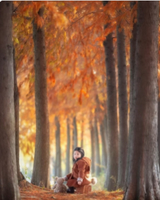 【12/21惠南新场航头周浦】宁波小喀纳斯--卖柴岙，赏湖水映衬水杉美景