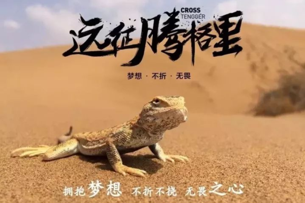 【暑假7.1-7.5沙漠旅行】 远征腾格里沙漠