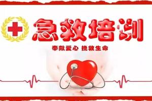 【免费】初级红十字救护员培训