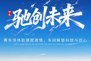 清明2日【驰创未来-单飞营】4月4日-5日【国际赛场】VIZONE赛车电竞模拟驾驶+极速卡丁车+科技与AI迪空间。。。