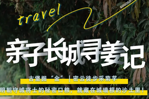 【轻徒步&挖洋姜】4月11日/12日 『童行万里-密云古堡掘“金”』徒步踏春-古堡脚下当一日“戍边采姜人” 助力乡村发展