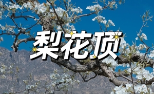 【登山徒步】4月25日/26日『童行万里-梨花顶』梨花大道-梨花顶-小众宁静梨花村（6岁+可报）