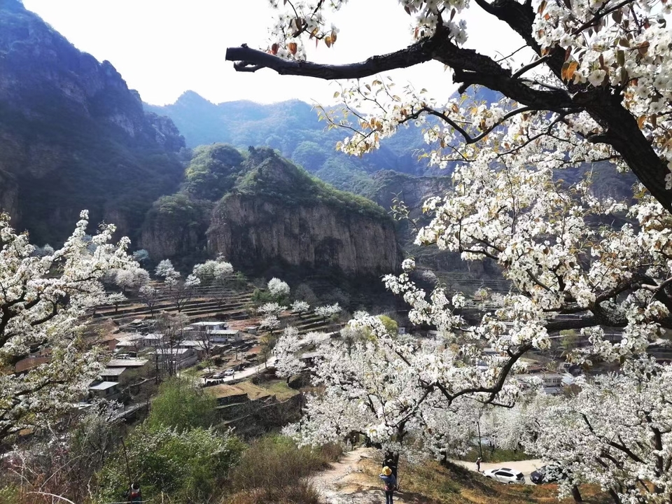 hEuEd7vHOJcf-wLLf38urMqAwTqJv3DX5xX4rBOuVOVBXIRSaNwyszTeLsU18Zz-