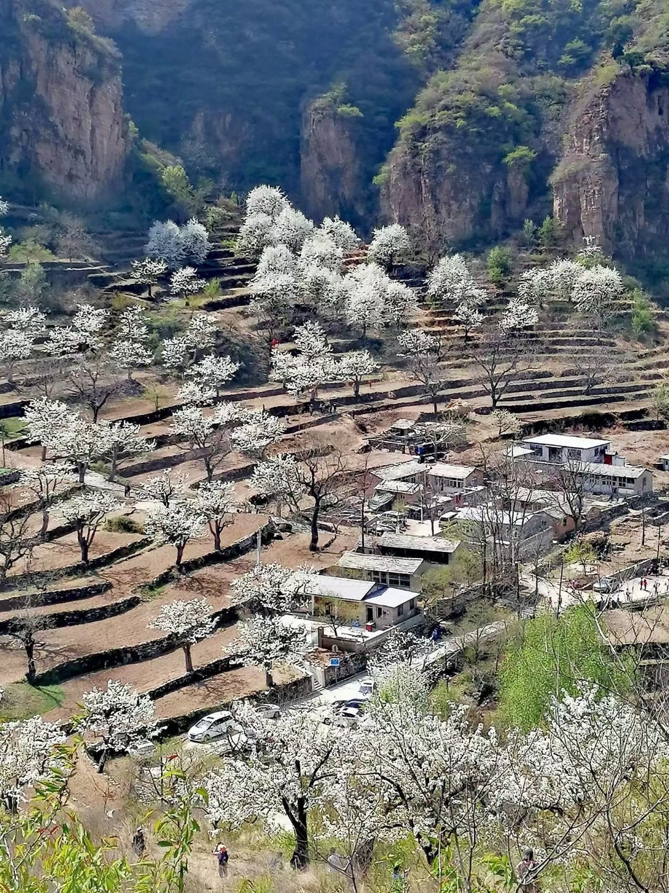 hEuEd7vHOJcf-wLLf38urGNbVCDGutrdA5sOgHsESDslAdacT8vxqNQShFOEbXEB