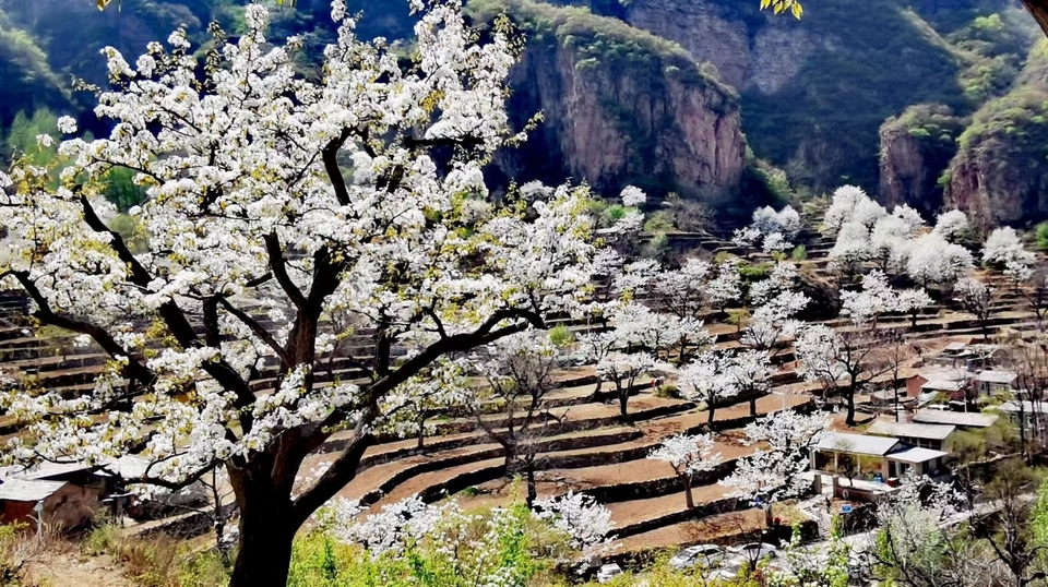 hEuEd7vHOJcf-wLLf38urNkHbgv7vn6G8QHa-xxptB3Wavd40Jcl1mcH7XWwQeCK