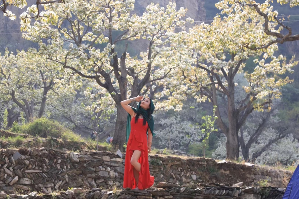 hEuEd7vHOJcf-wLLf38urMRzkPLADfqZi31biMvdJi4RLjkbPKMq2I2Og2LwbsJk