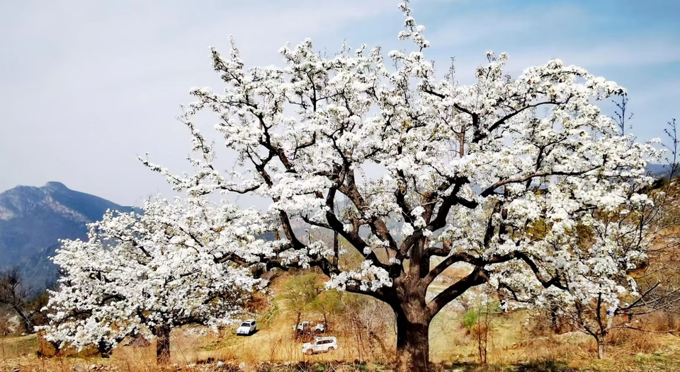 hEuEd7vHOJcf-wLLf38urML8qB-80Er05O3zgEtkoQMSzli3kbDWVAaOIk7x7xEO